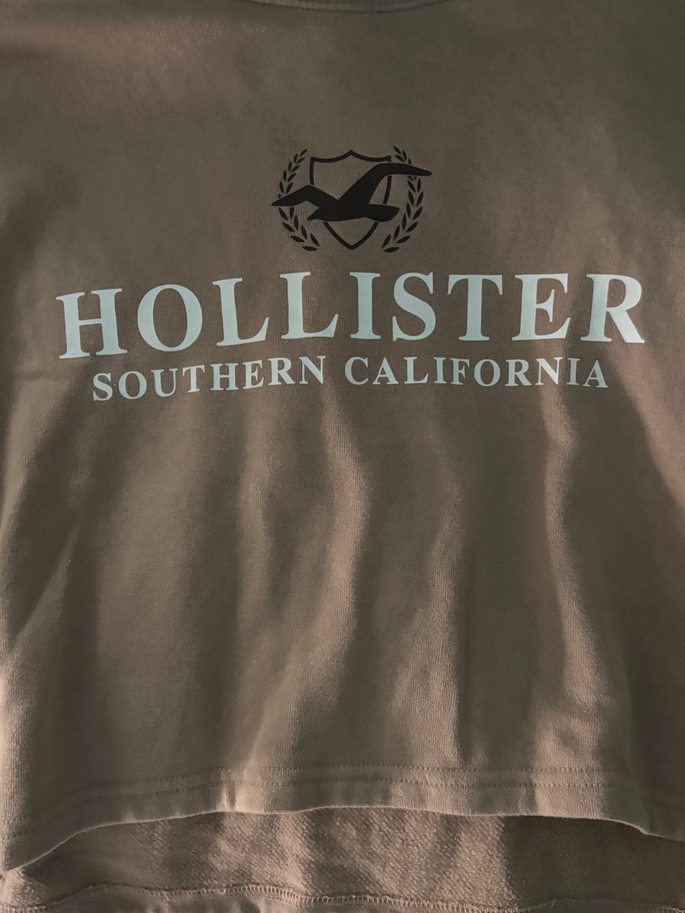 Hollister Brown Tee with White Logo
